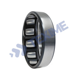 Roulement à rouleaux cylindriques N309EG15